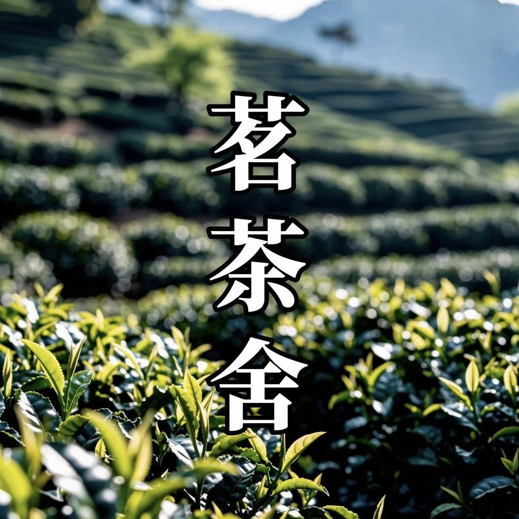 茗茶舍 改价链接6669