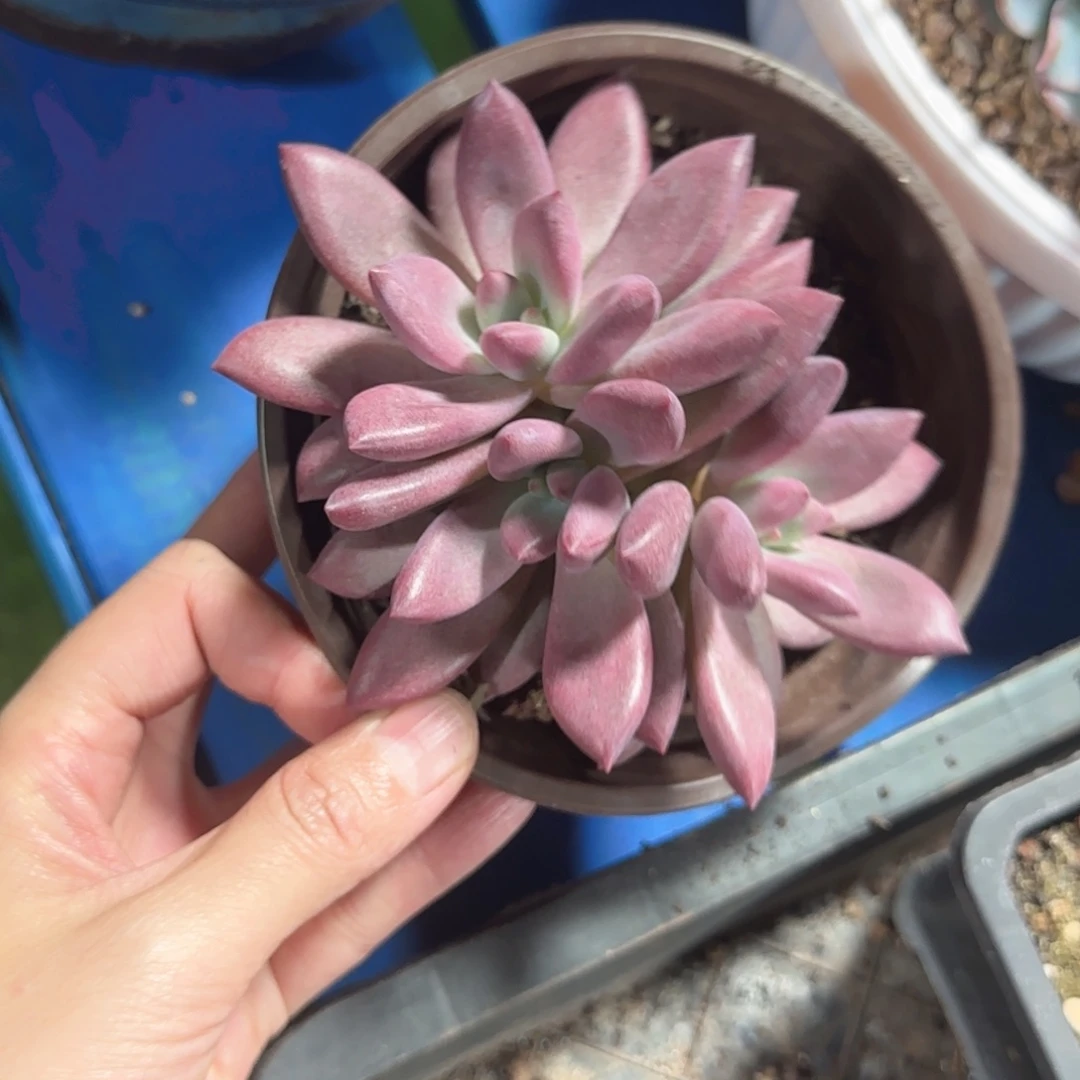 感觉快看看发一句曾经那么美