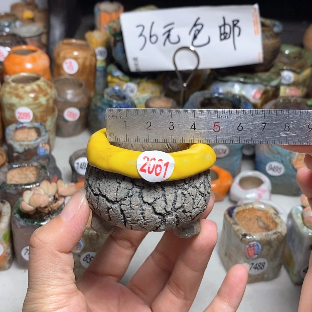 拍3送一个小礼物