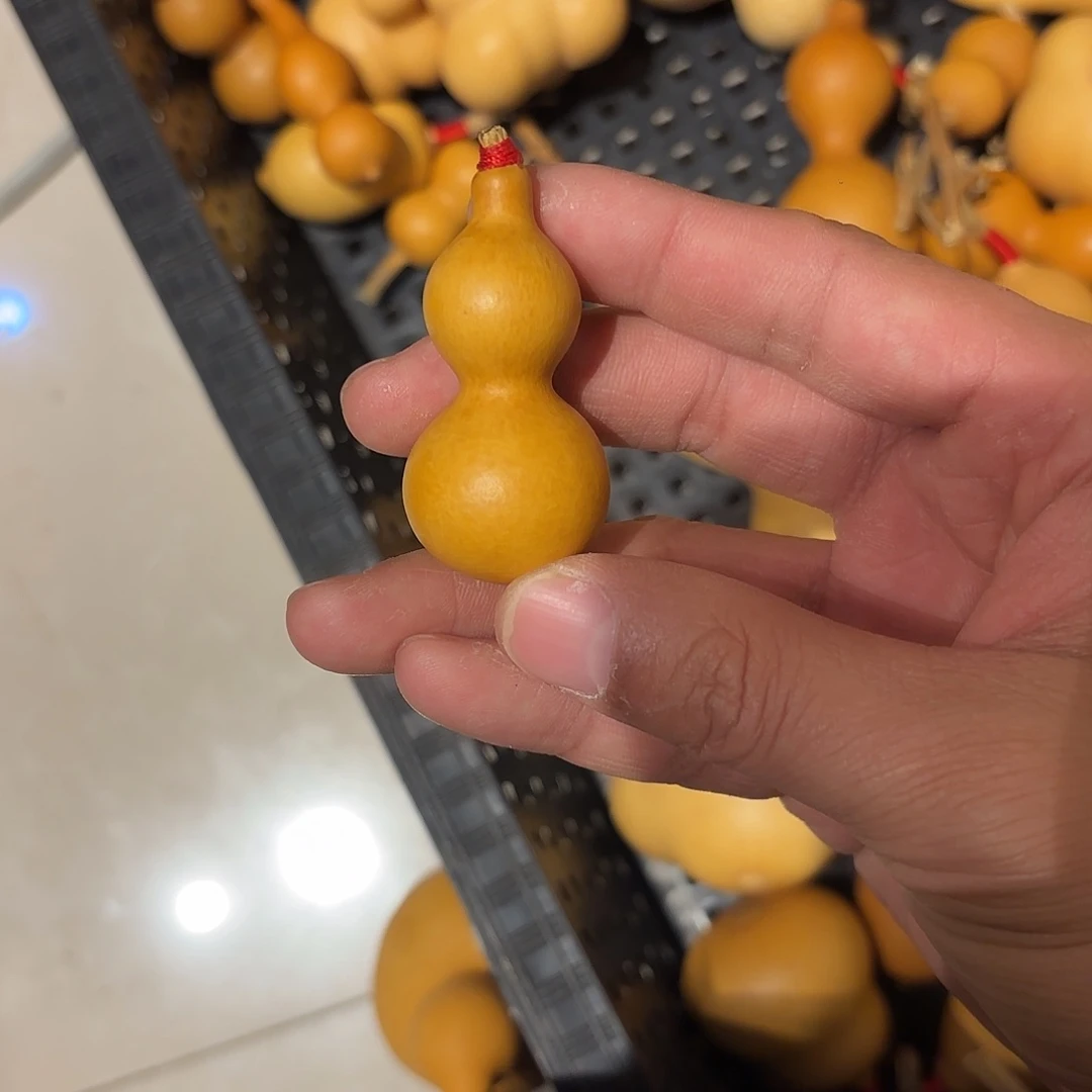 海**鱼葫芦1111111111111