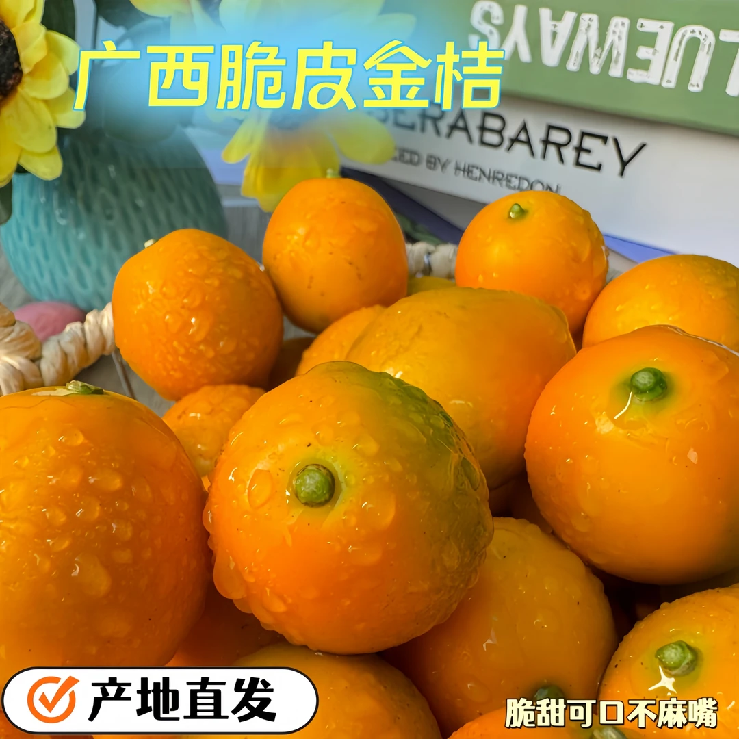 广西脆皮小金桔滑皮金桔新鲜桔子当季蜜金柑纯甜孕妇水果整箱5斤