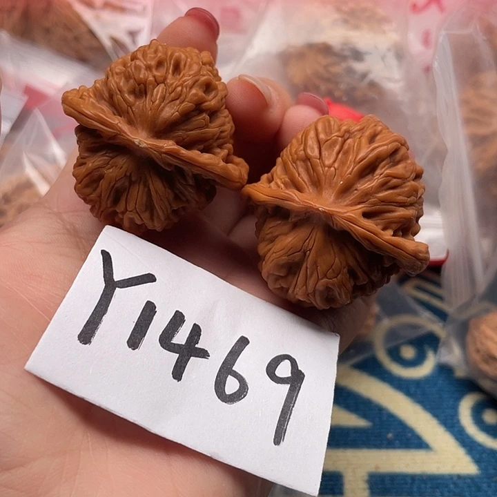 文玩核桃把件核桃