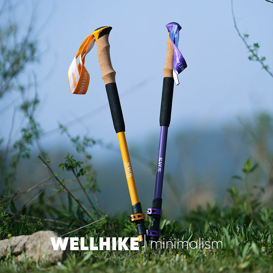 WELLHIKE户外SWS登山杖便携轻量徒步爬山高海拔雪山成人伸缩手杖