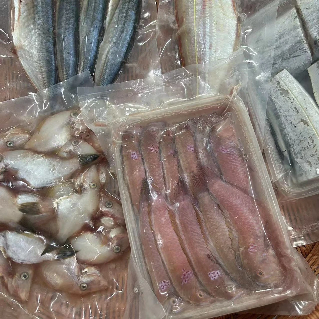 浅海鱼类组合套餐131