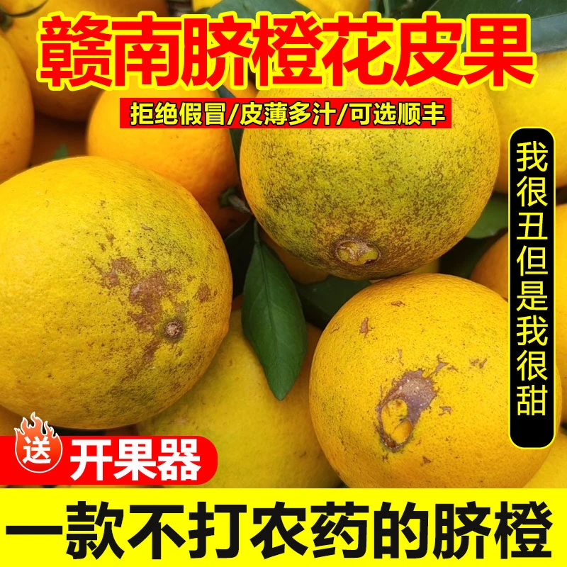 【精挑2级果】正宗赣南脐橙新鲜水果现摘现发丑橙花皮果快递上门