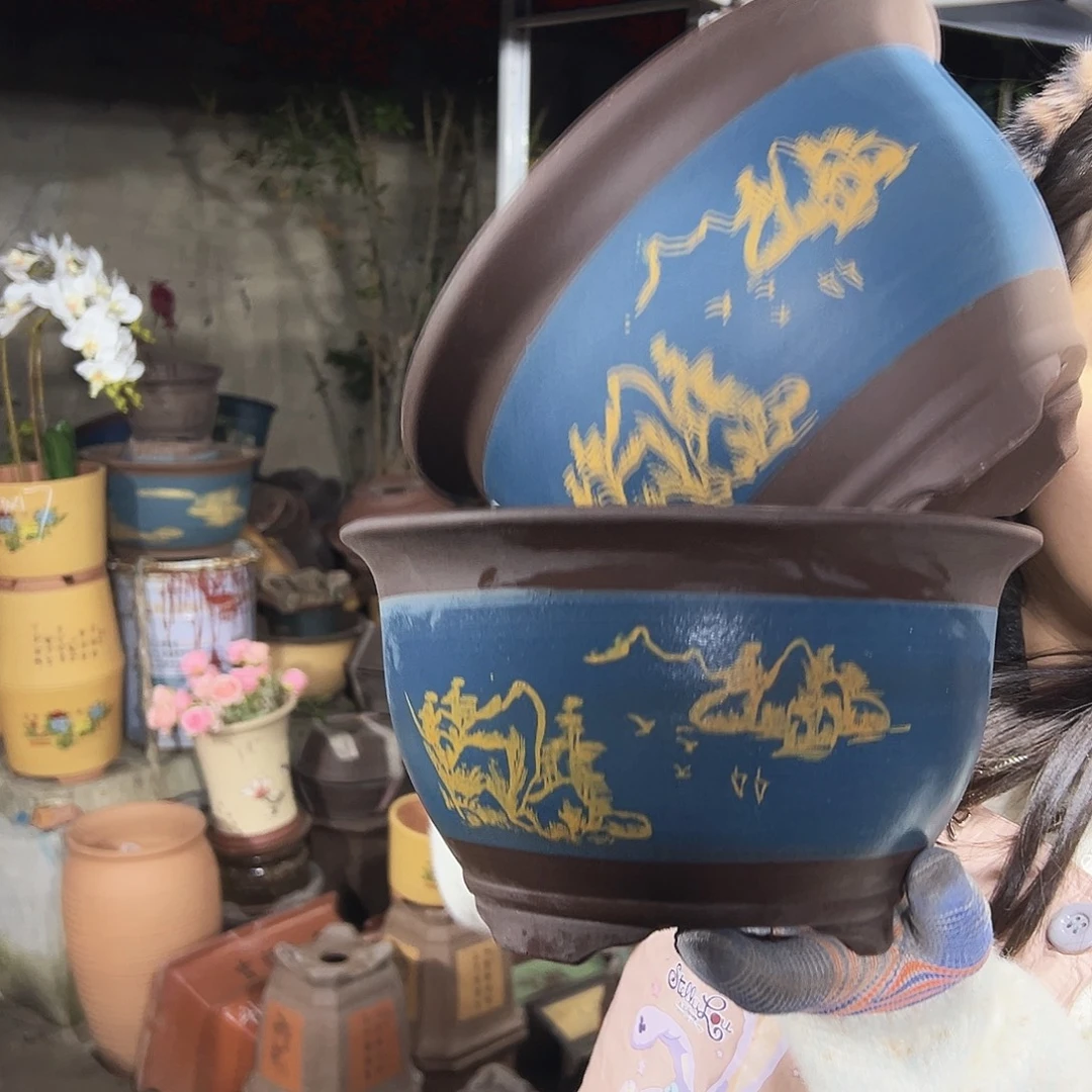 21+21蓝色三角金钟花盆