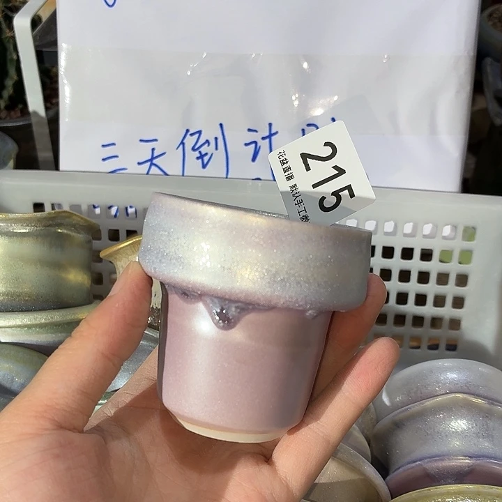 炫彩花盆，八五折后价格