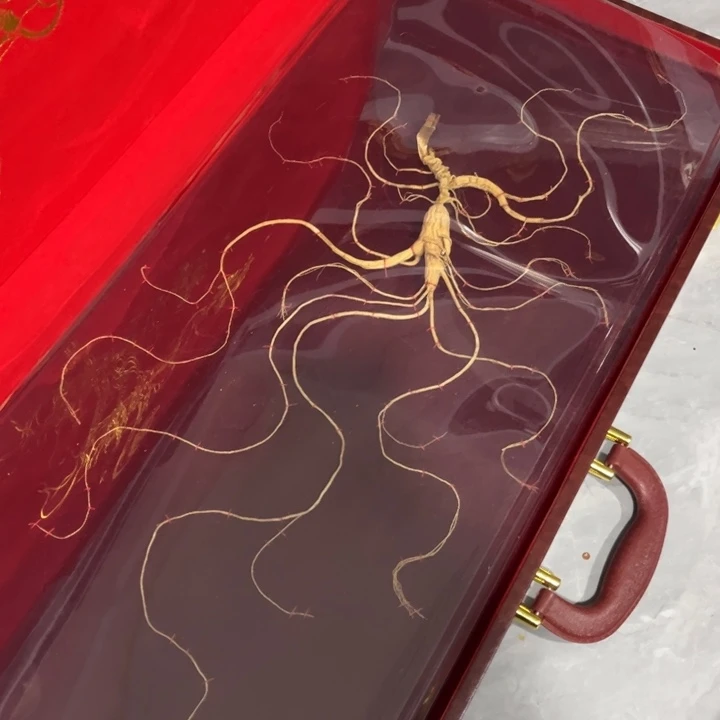 紫砂————————————-