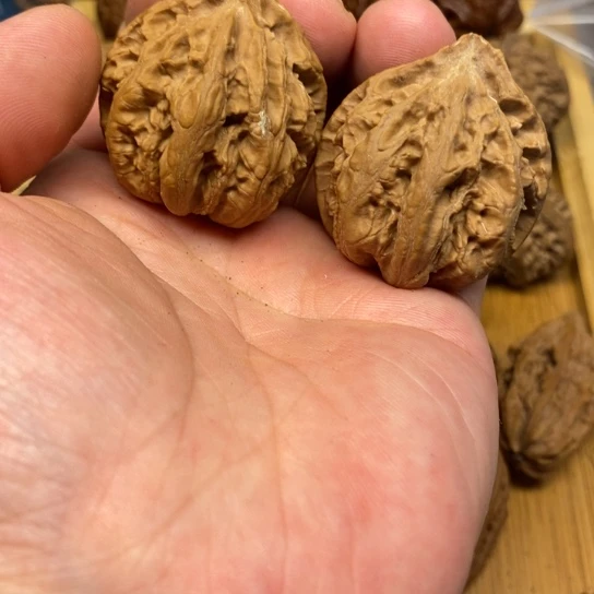 桃核把件41东北野生秋子核桃