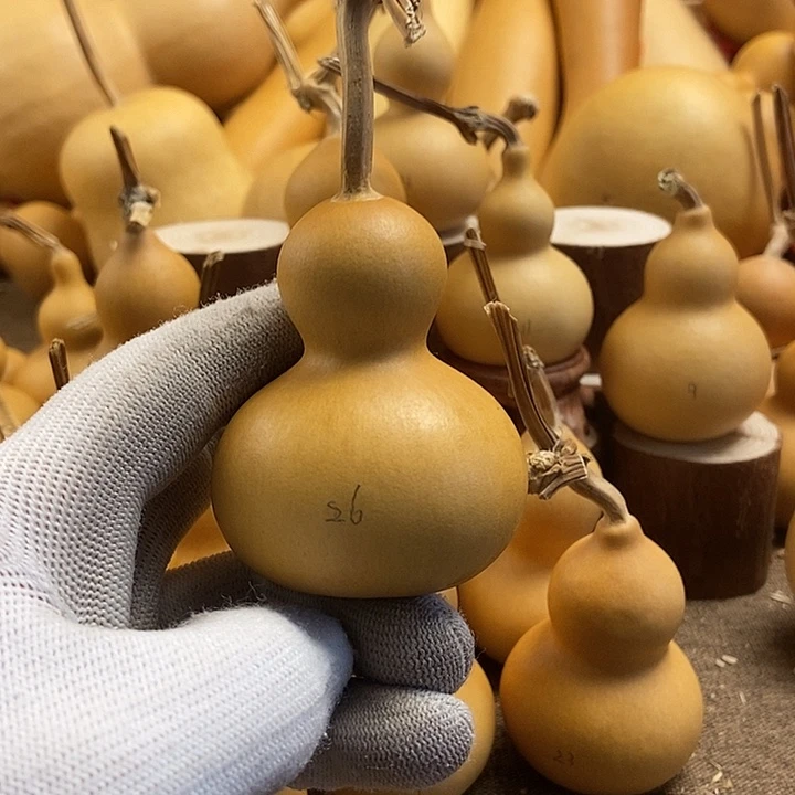 文玩葫芦 完美主义者 慎拍26