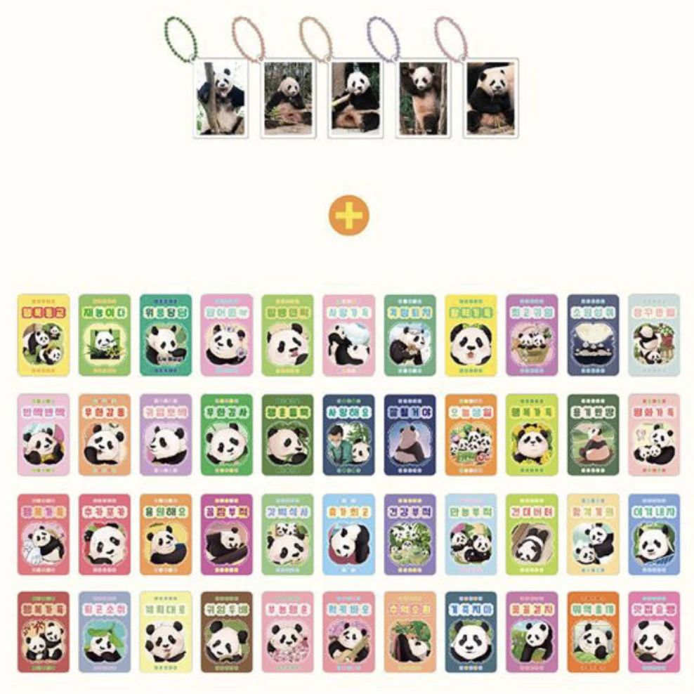 宝家族快闪店小卡熊猫