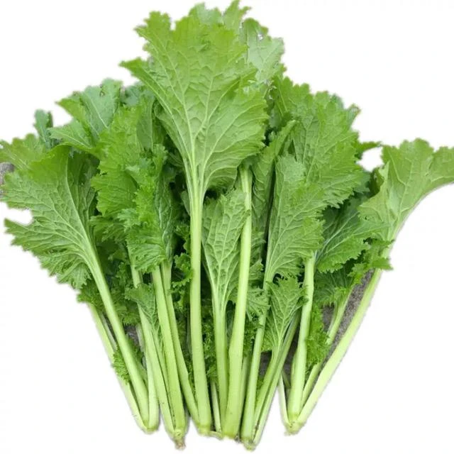 春芥菜(约400g)/份