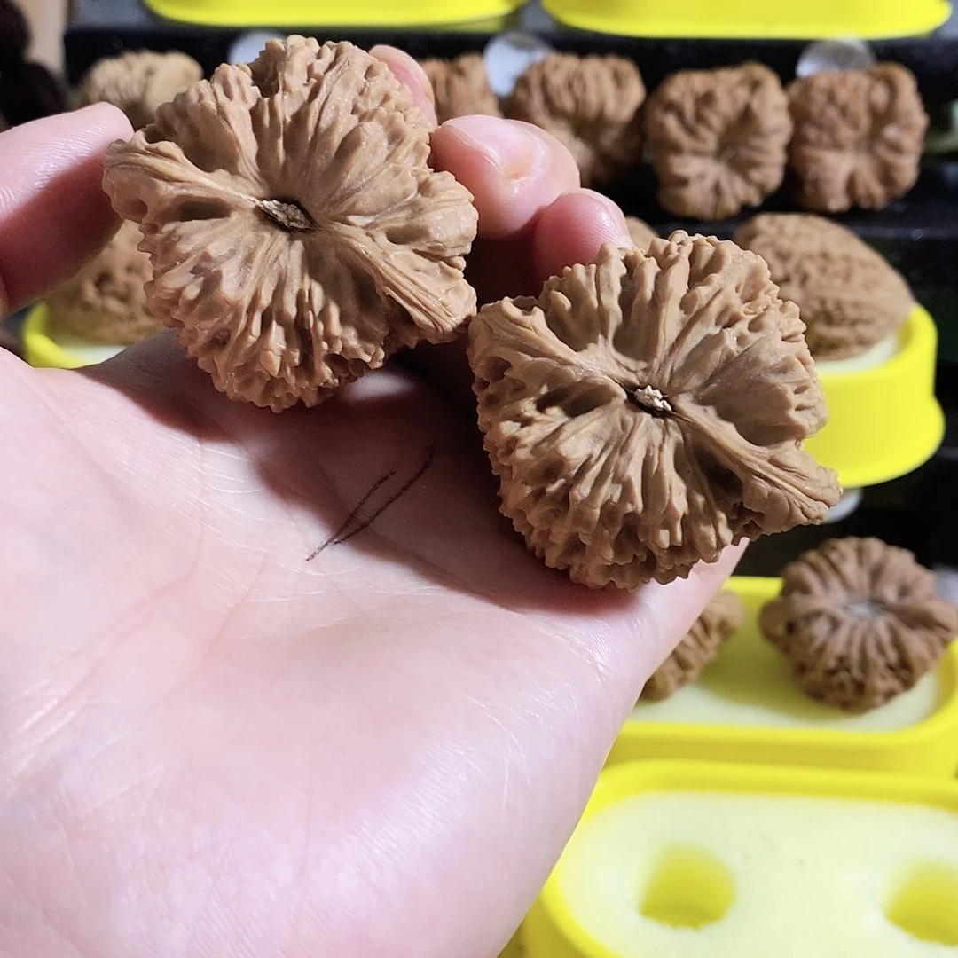 木质类今天是不是又要