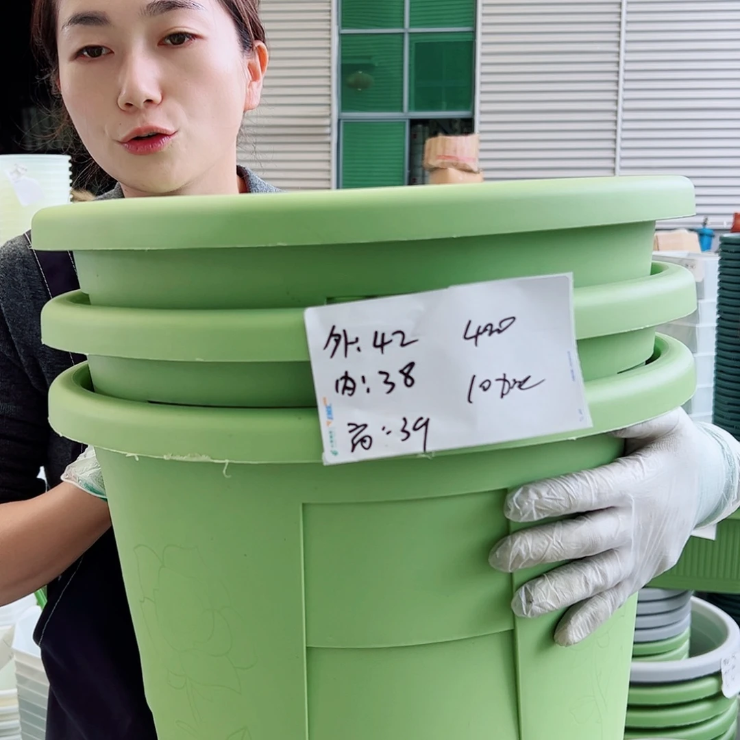 玫瑰盆420#果绿4个无托