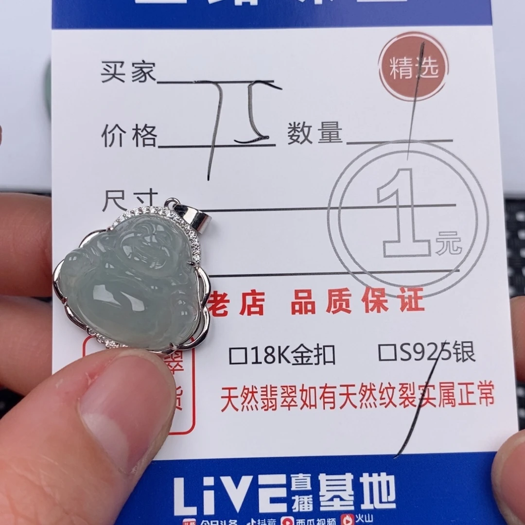 翡翠银S925镶嵌颈饰