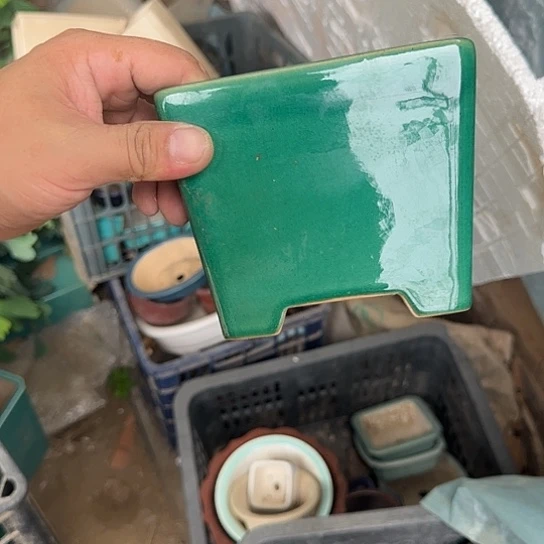 你说了就可以咯吧不要想