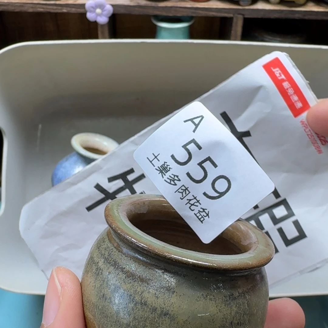 安***海陶瓷艺术品设计与制作