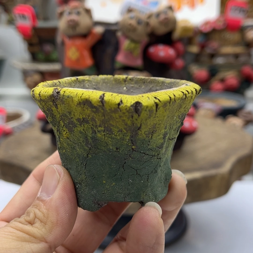 ****虹花盆瑕疵福利特价