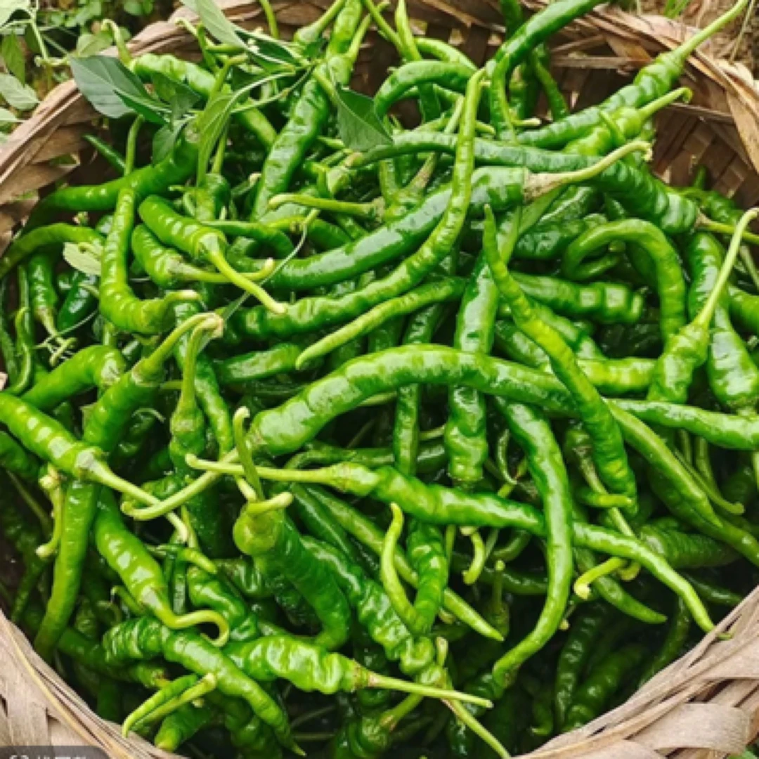 农家自产自销辣椒