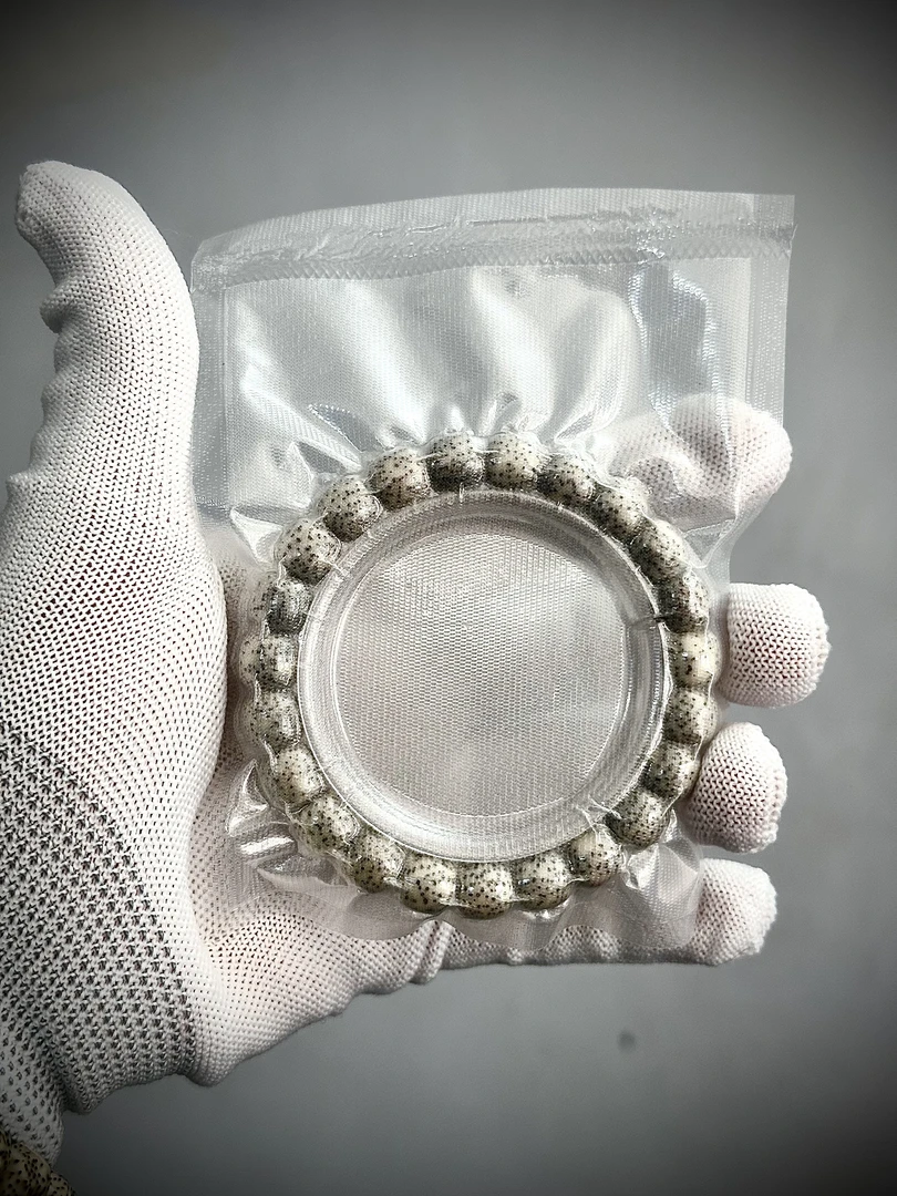 星月菩提-10x9石玉料糯冰星月菩提