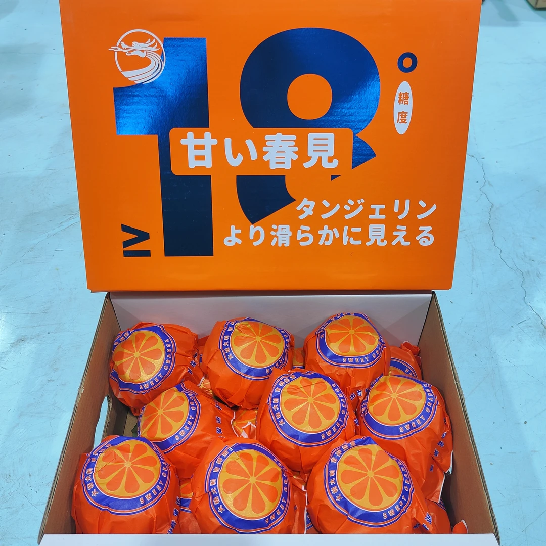 【大箱】耙耙柑  果肉细嫩爆汁 带箱9.5斤左右