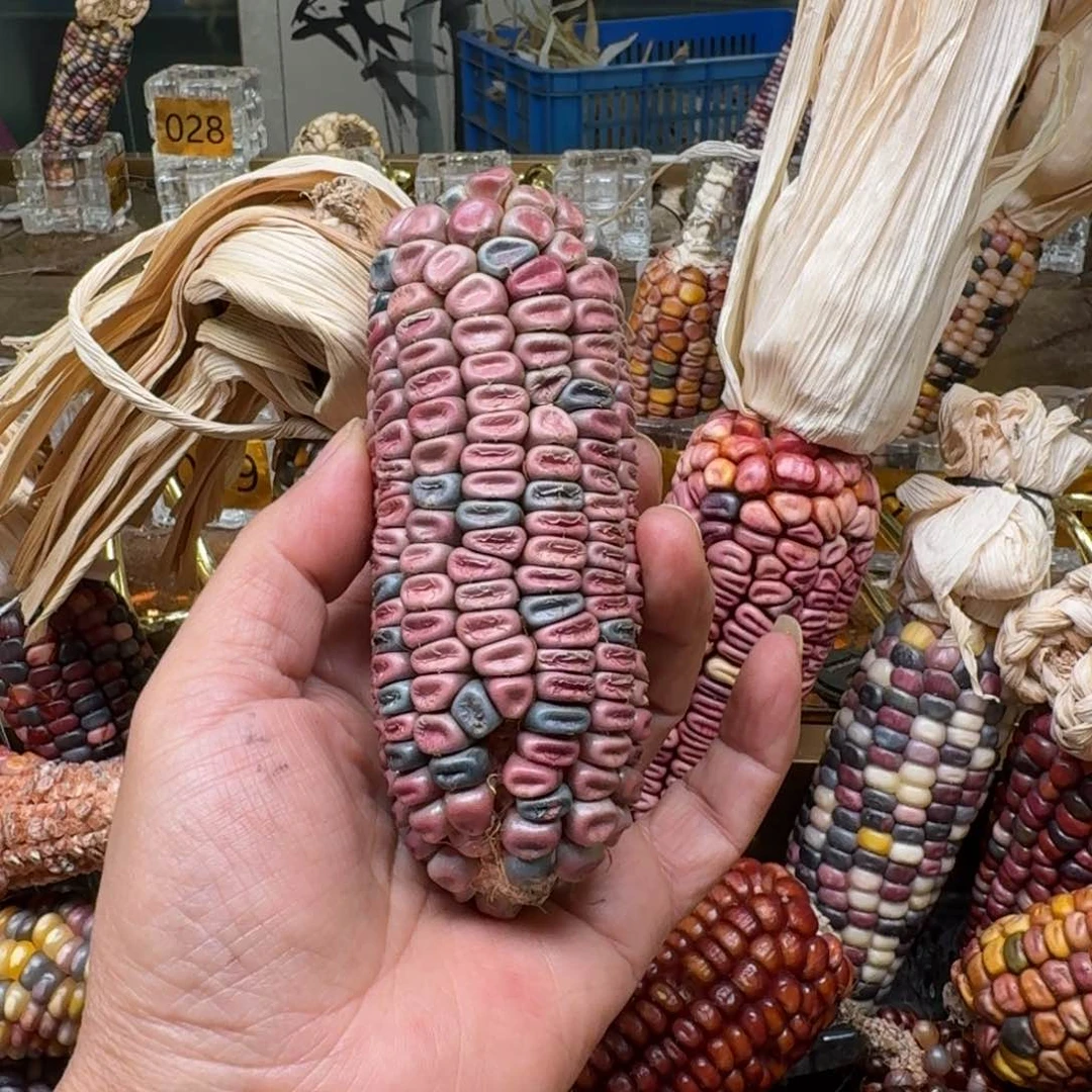 柏香籽/百香籽吊坠小*