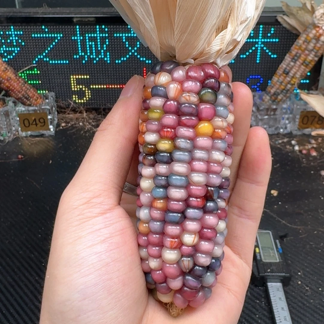 柏香籽/百香籽吊坠香**汁