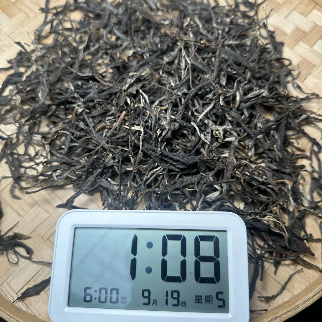 【1801号】2025年高黎贡山野牛山生散茶（9月18号）C
