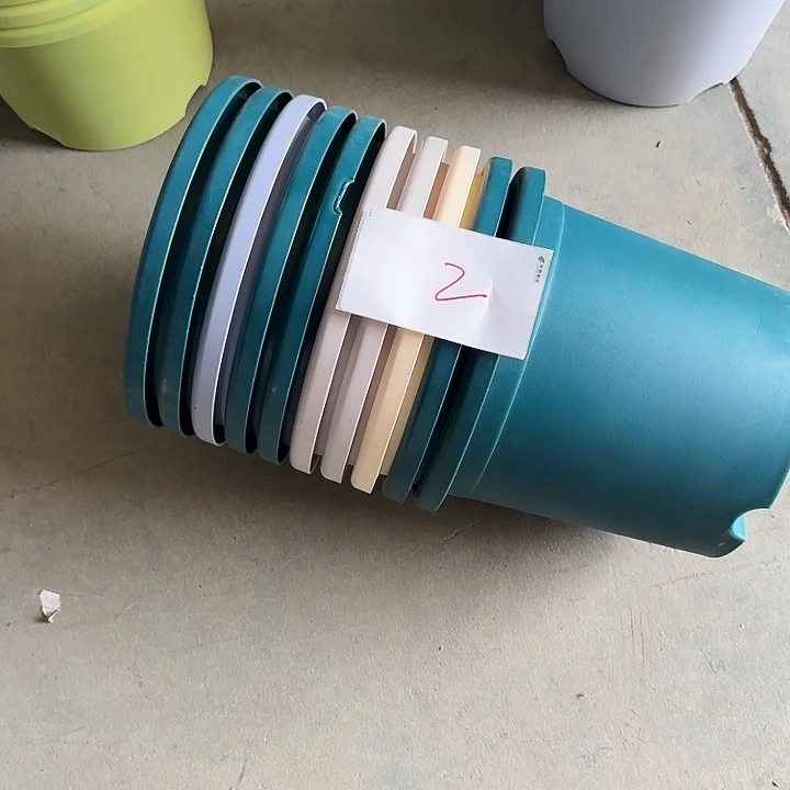 编号是2号的2号的