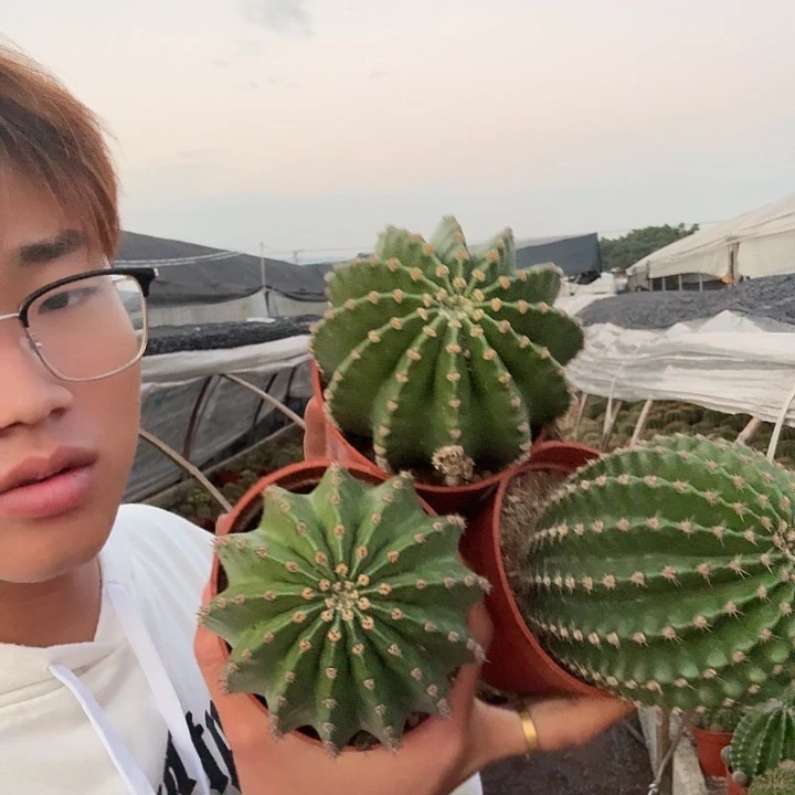 ****无花朵彩草哈哈哈哈哈哈哈哈哈