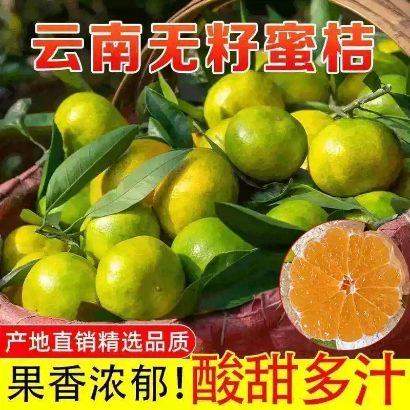 云南蜜橘早熟青皮桔子新鲜孕妇水果酸甜无籽当季柑橘薄皮蜜桔整箱