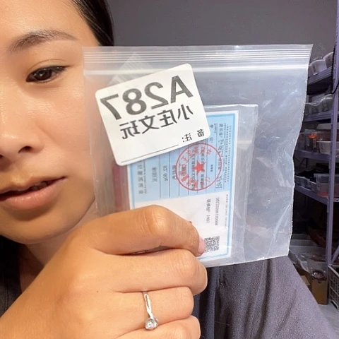 【闪购商品】香榧木张*江287