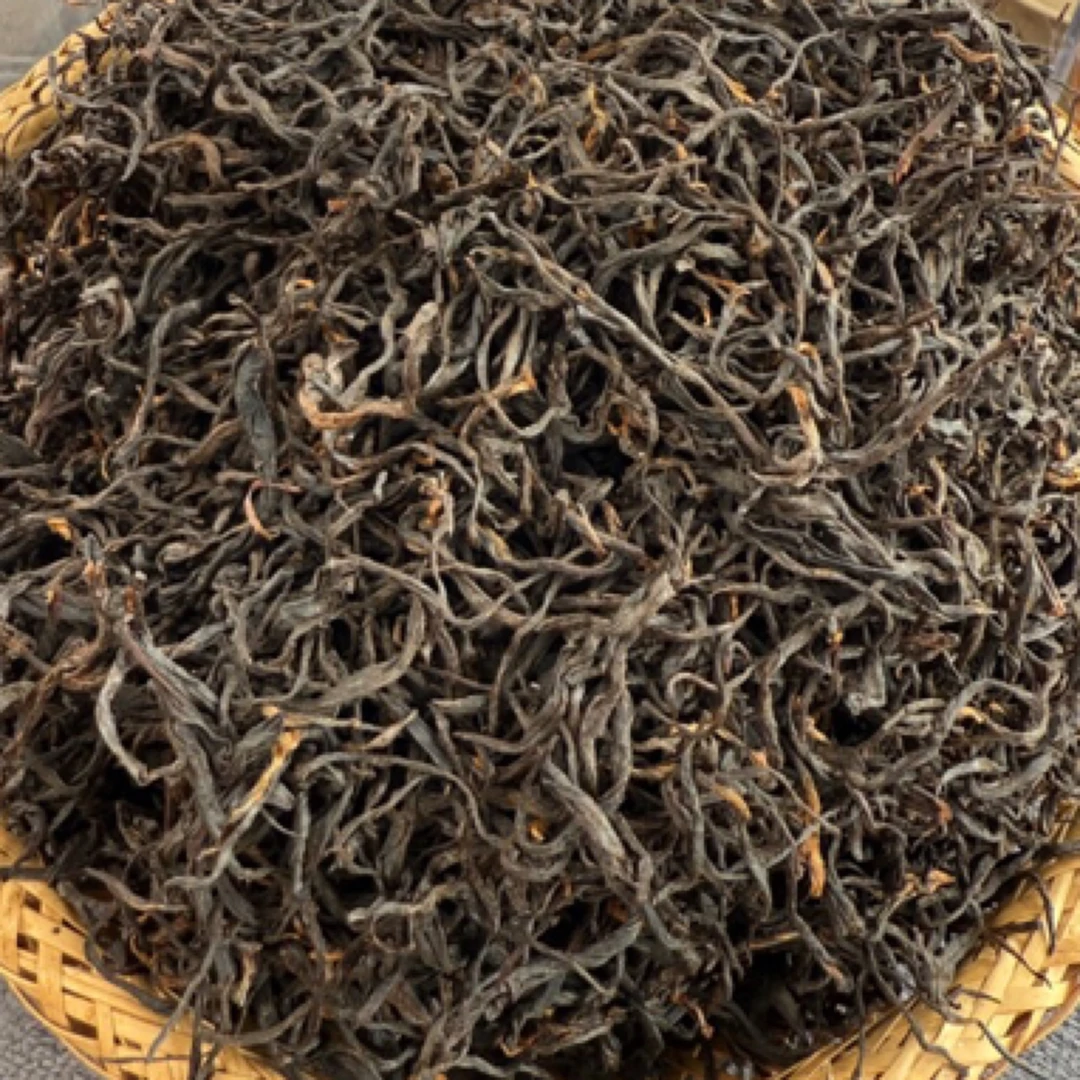 茗世推荐～2025年～教授家【象脖子～某有林】野生高杆黑金晒红茶