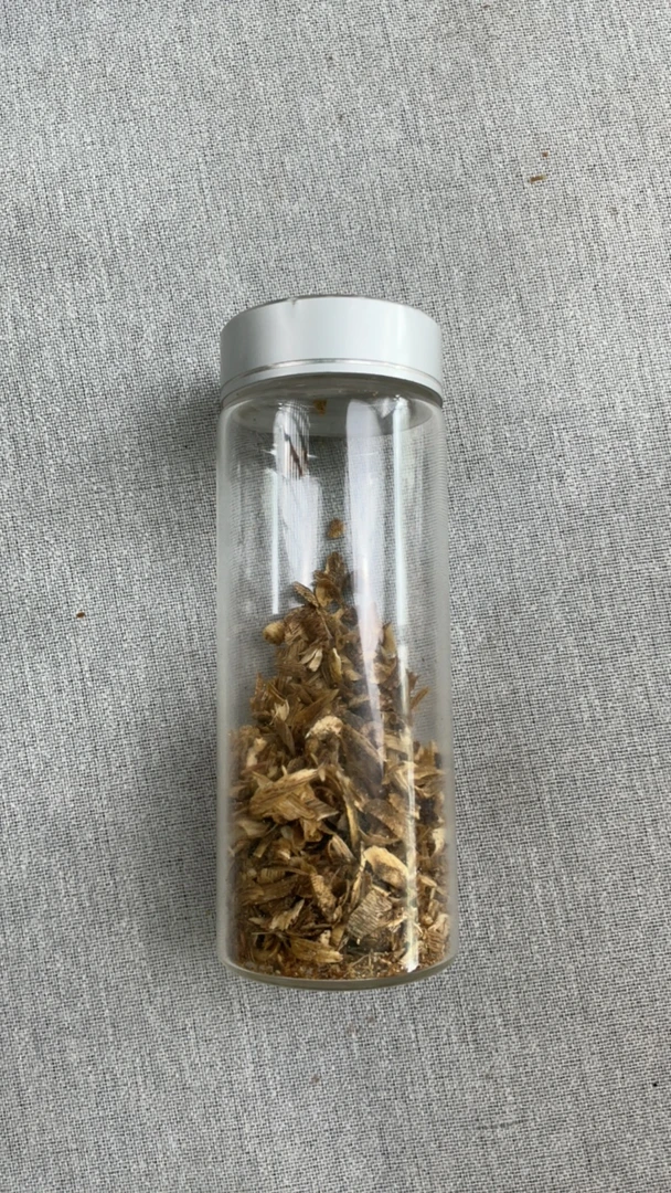 沉香【虫漏福利】G029沉香奇楠虫漏树丁单圈沉水浮多样性发1条