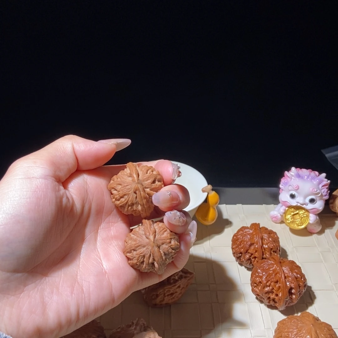 菩提籽类小金鱼33