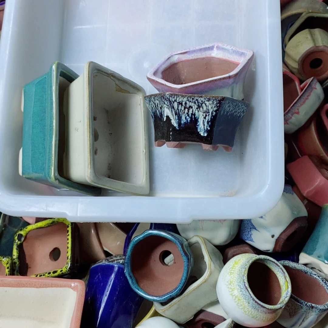 红陶暖*是计算机室计算机室计算机室看