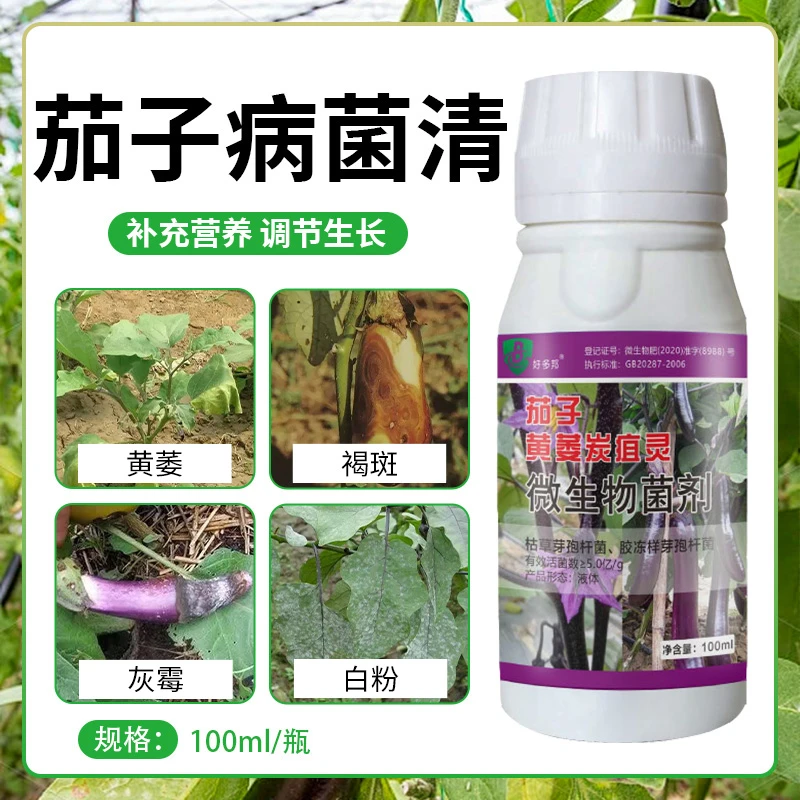 茄子病菌清专用茄子黄萎茄子炭疽烂果霜霉根腐正品直销微生物菌剂