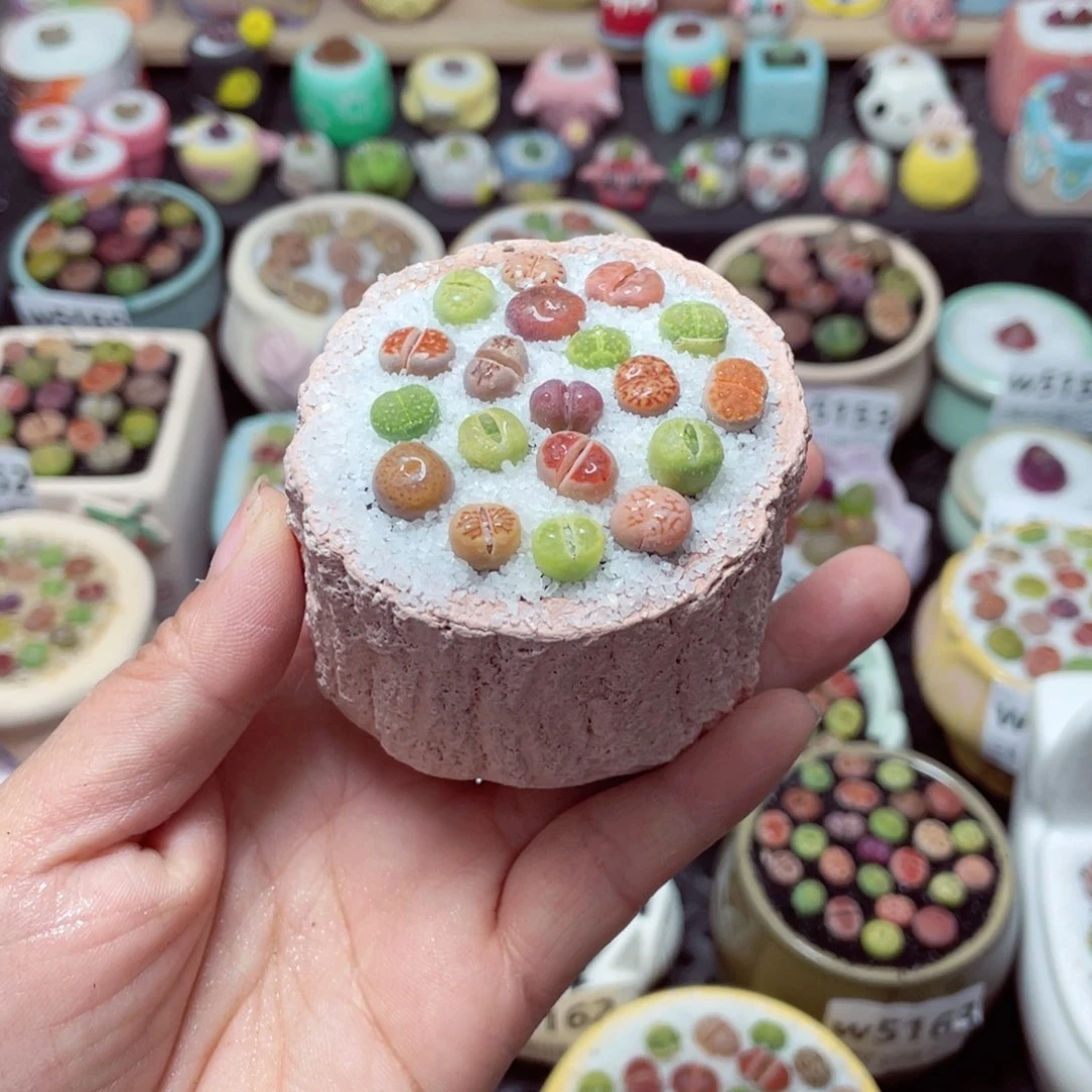 w5173 带盆土发货-零下地区拍保温箱