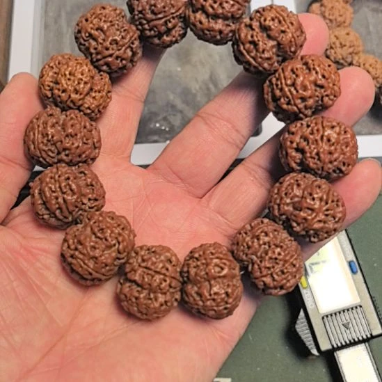 金刚菩提手串五星梅花大金刚手串，25左右，平头平尾，打好底的