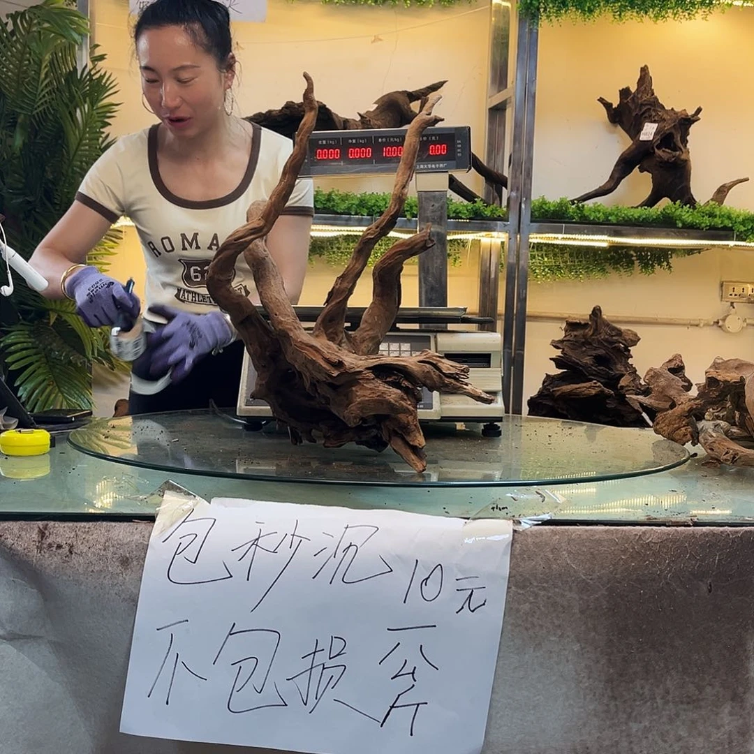 柚木～*～沉木鱼缸造景