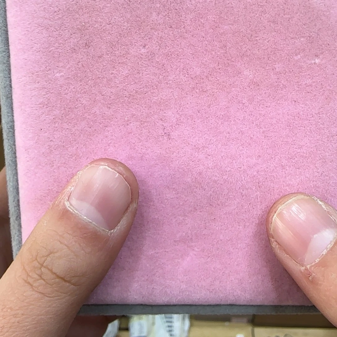 茶宠茶宠哈哈哈哈哈哈哈