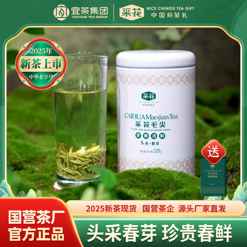 采花【2025新茶现货】采花毛尖头采春芽绿茶100g罐装高山茶栗香