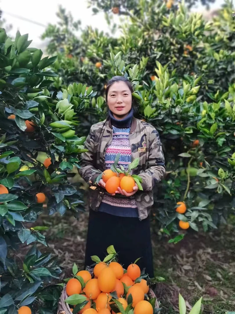 京东快递〗重庆奉节纽荷尔橙当季水果现摘产地直发香甜多汁