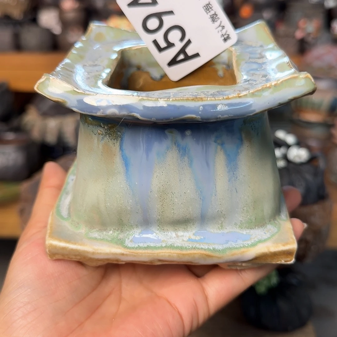 重庆小燕子欢迎大家594
