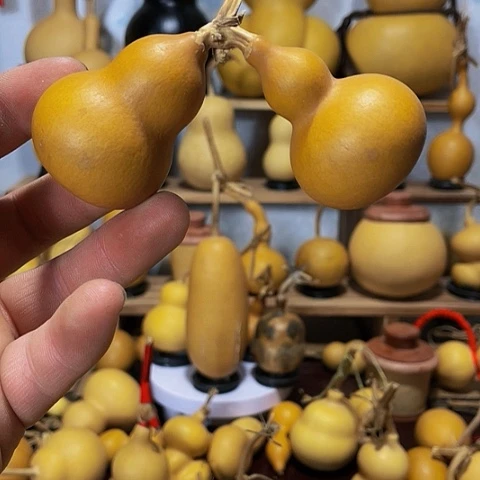 精品厚皮小八宝葫芦