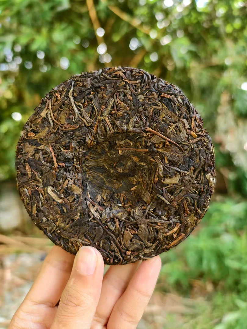 【新品】2024 弯弓 桫椤梁子古树 普洱生茶 100g饼（带茶样）
