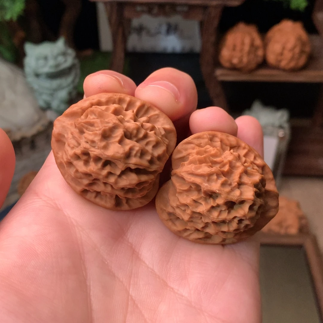 文玩核桃把件37尺寸秦公子