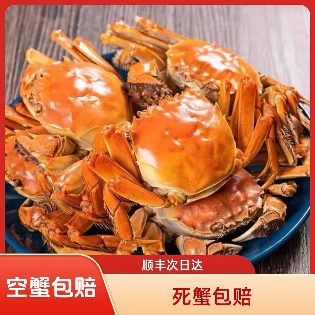 活蟹全母蟹盘锦河蟹海鲜 2两母-1.7两/只 到手10只大母蟹
