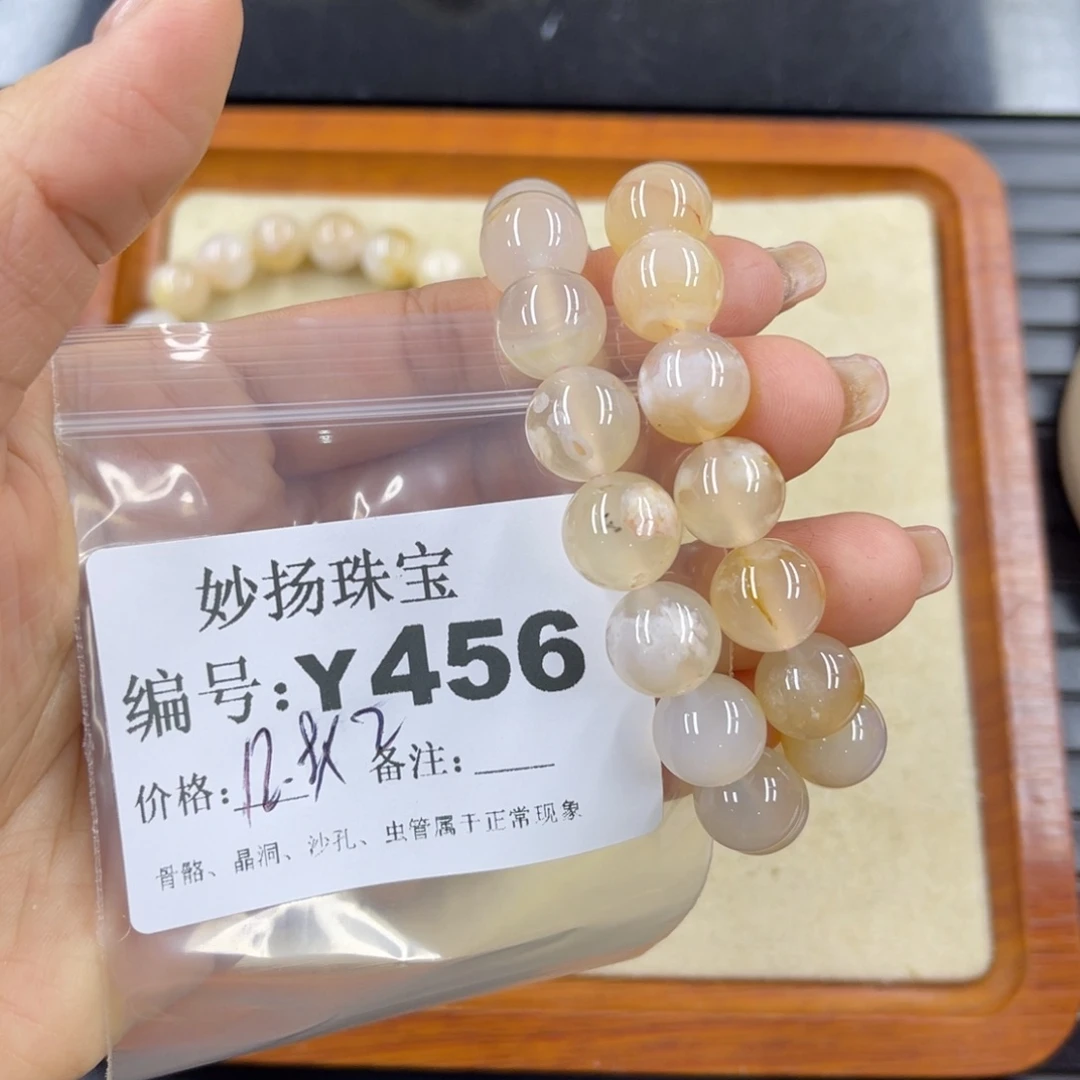 硅化珊瑚（珊瑚玉）a未镶嵌凌*零