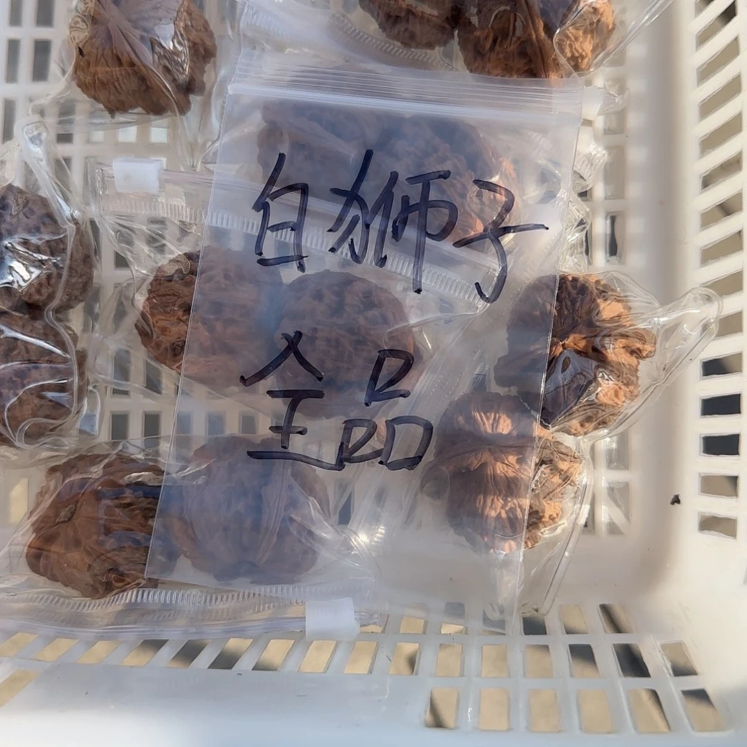 我们的生活也是如此的丰富